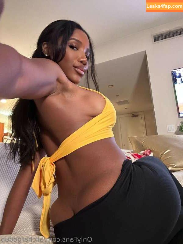 Allchargedup / Ashley Christen / sashafoxyy / toned_ash leaked photo photo #0041
