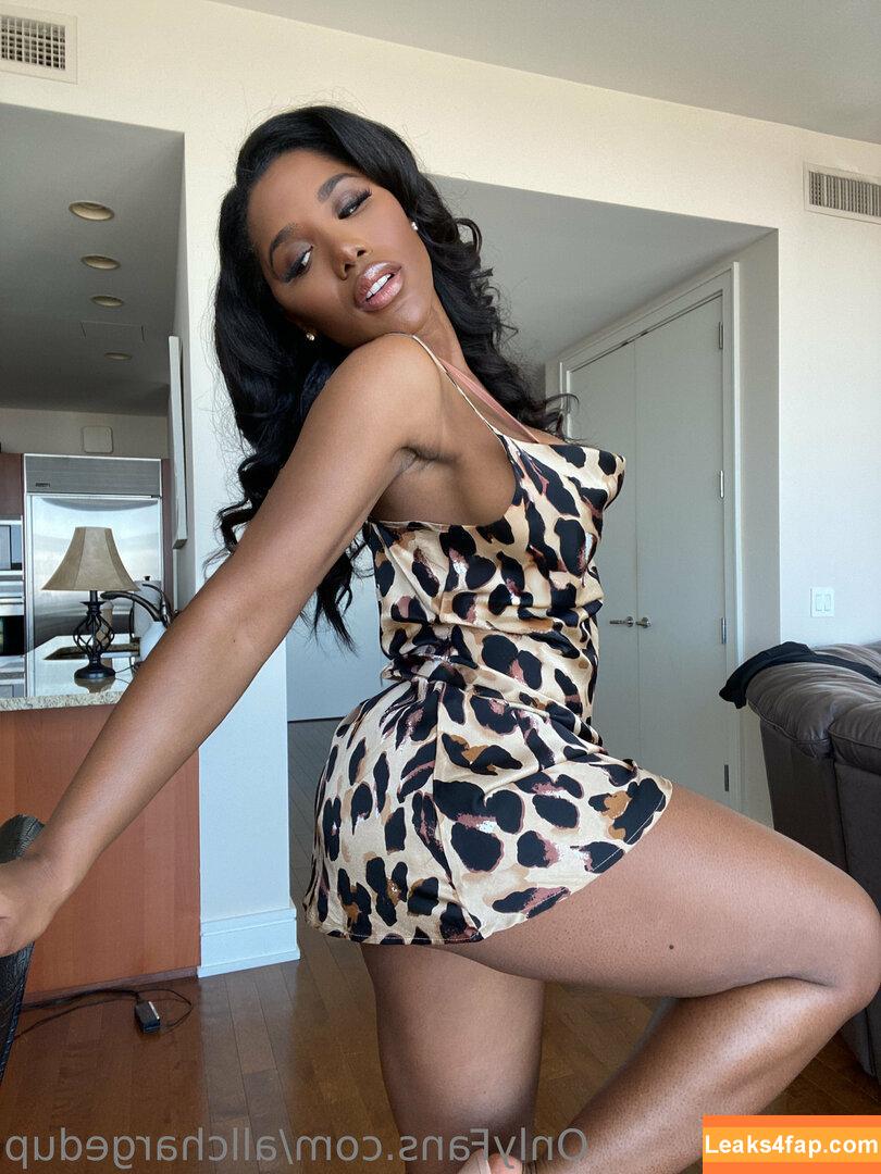 Allchargedup / Ashley Christen / sashafoxyy / toned_ash leaked photo photo #0098