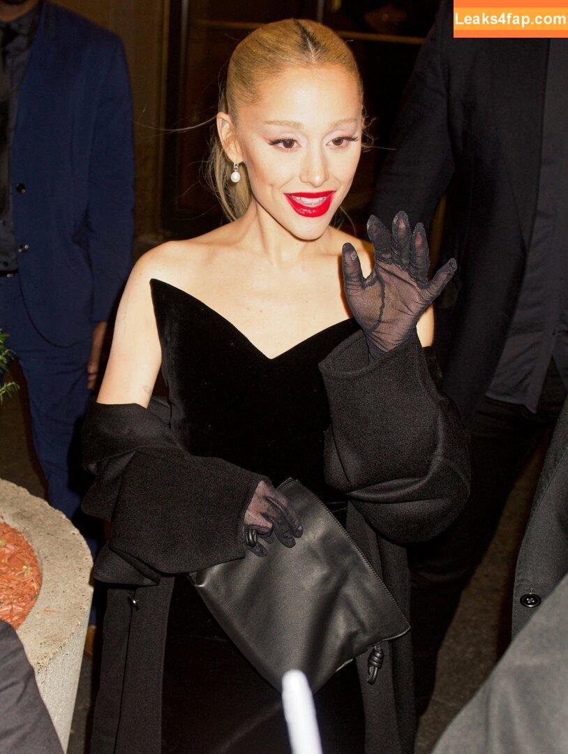 Ariana Grande / arianagrande / arianaxgrande слитое фото фото #0074