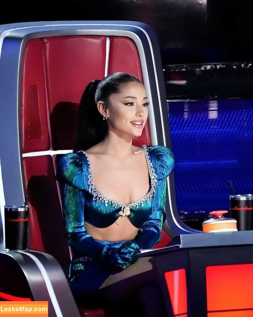 Ariana Grande / arianagrande / arianaxgrande leaked photo photo #0114