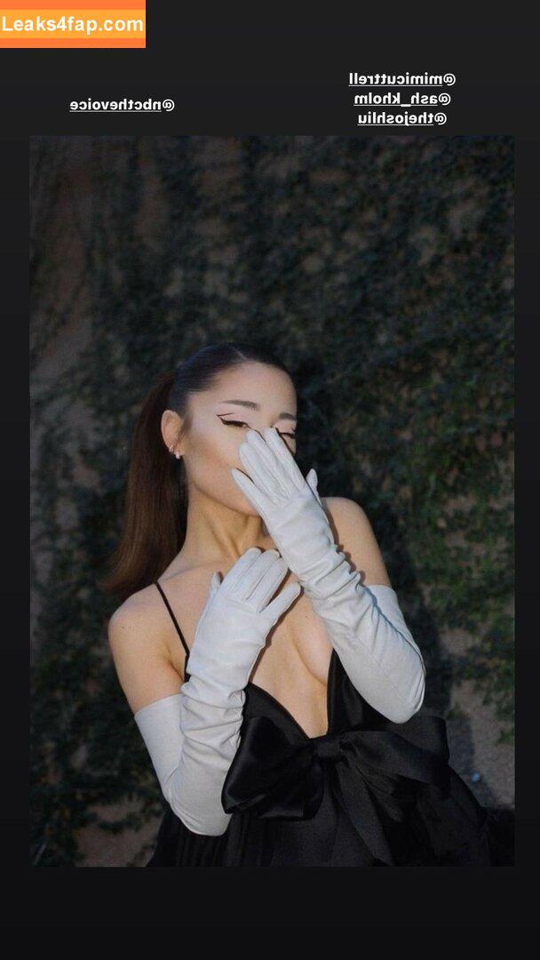 Ariana Grande / arianagrande / arianaxgrande leaked photo photo #0116