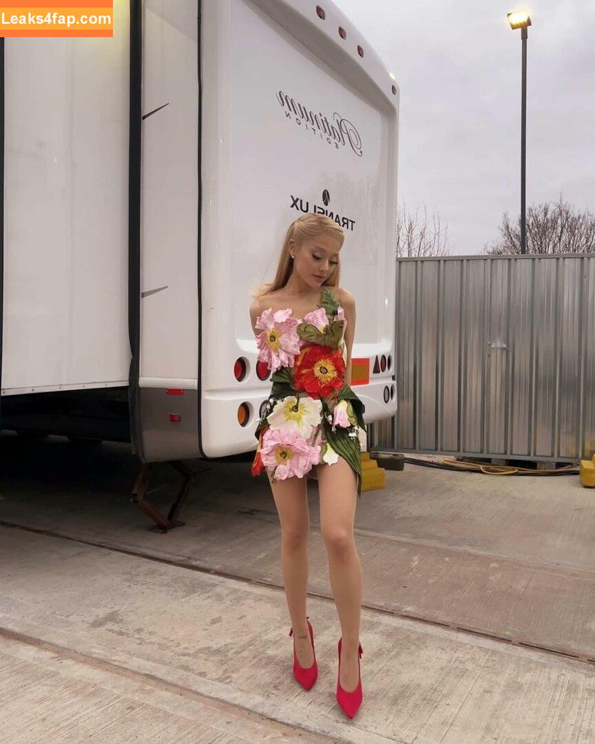 Ariana Grande / arianagrande / arianaxgrande leaked photo photo #0223