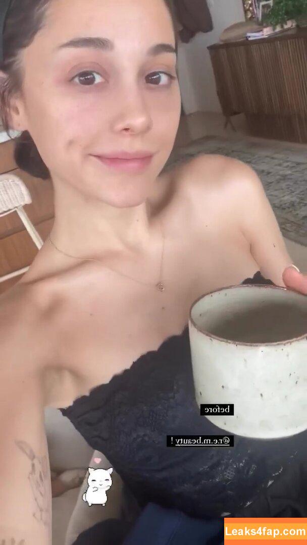 Ariana Grande / arianagrande / arianaxgrande leaked photo photo #0359