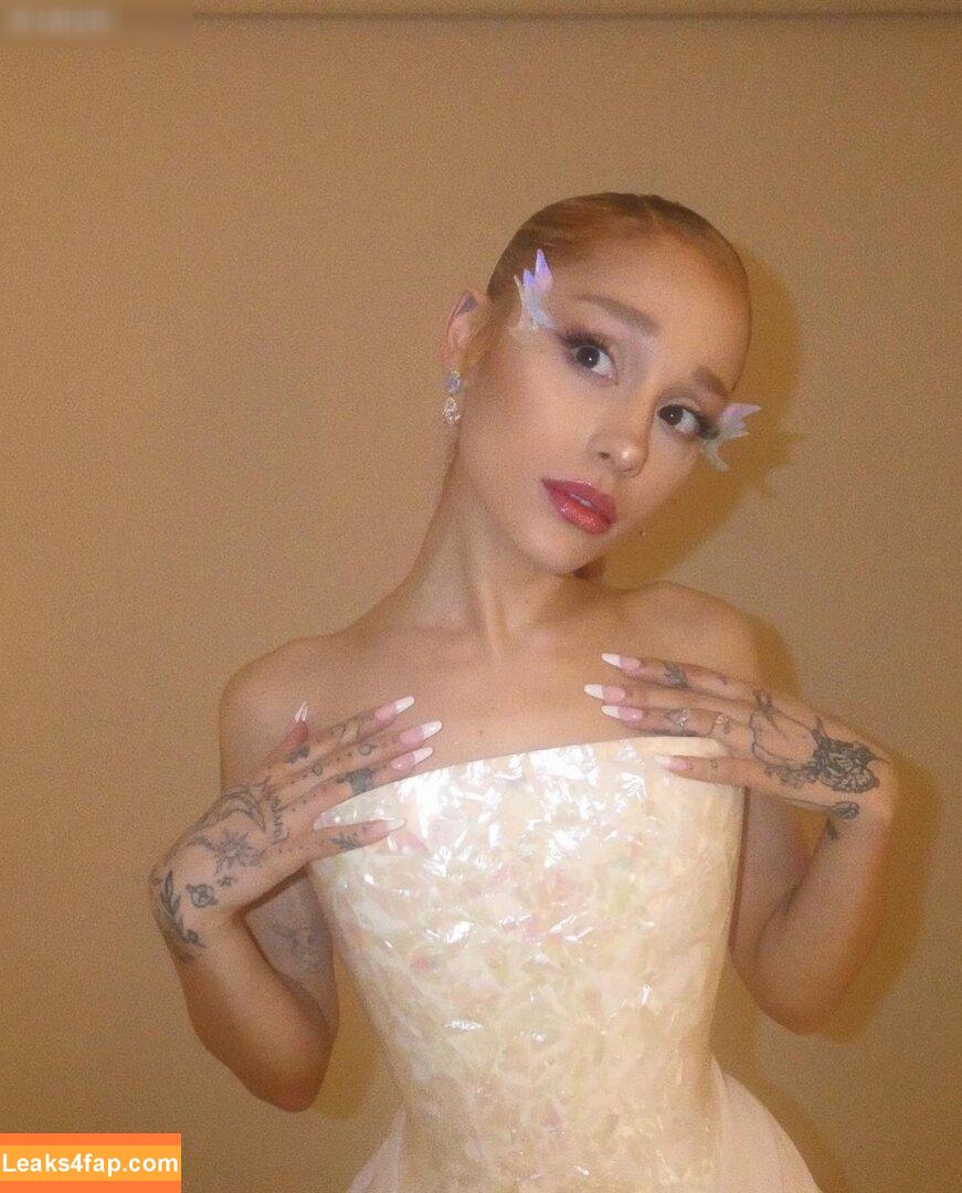 Ariana Grande / arianagrande / arianaxgrande leaked photo photo #0759