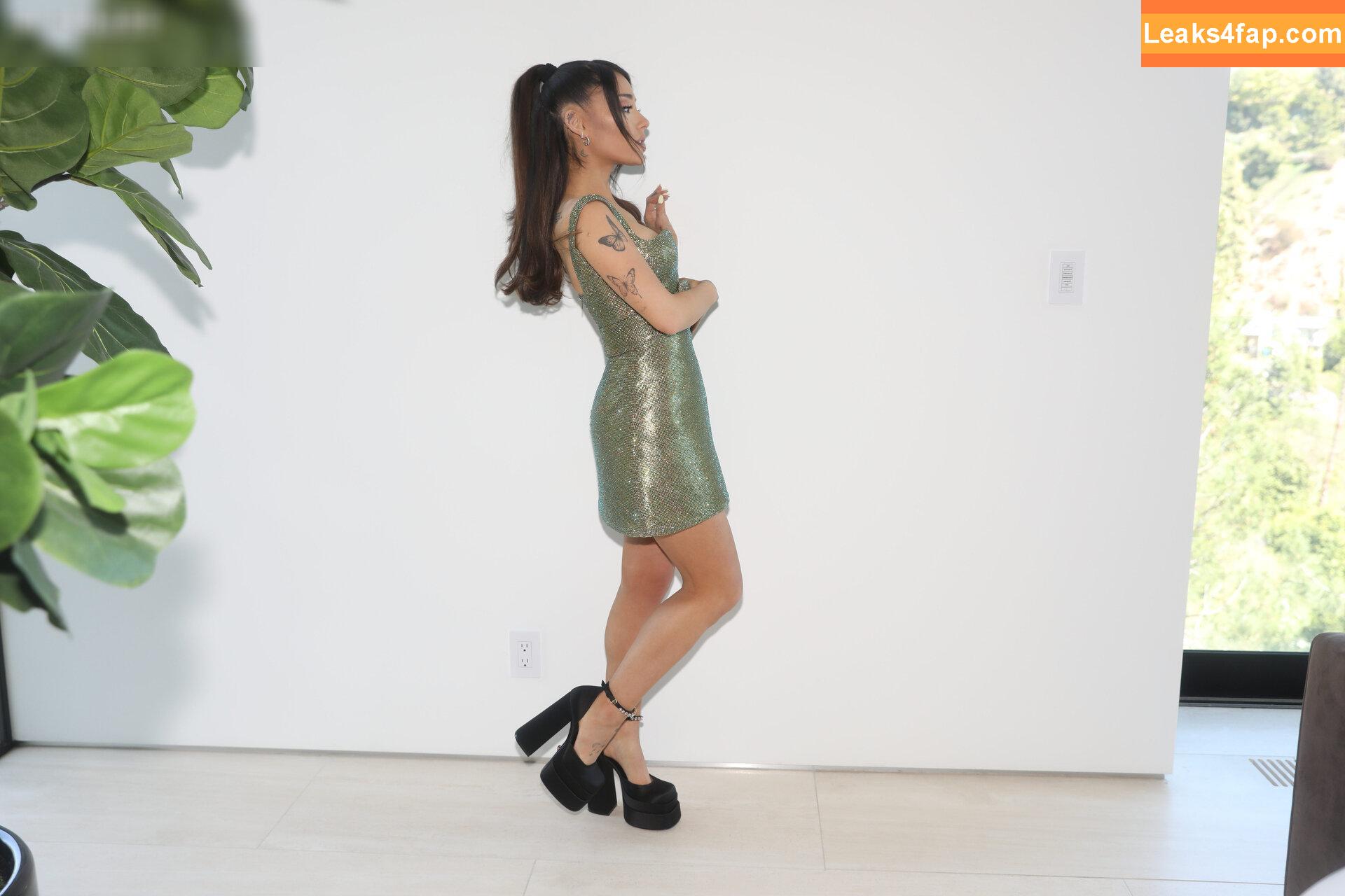 Ariana Grande / arianagrande / arianaxgrande leaked photo photo #0827