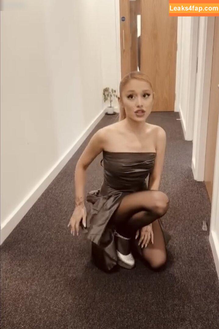 Ariana Grande / arianagrande / arianaxgrande leaked photo photo #0835