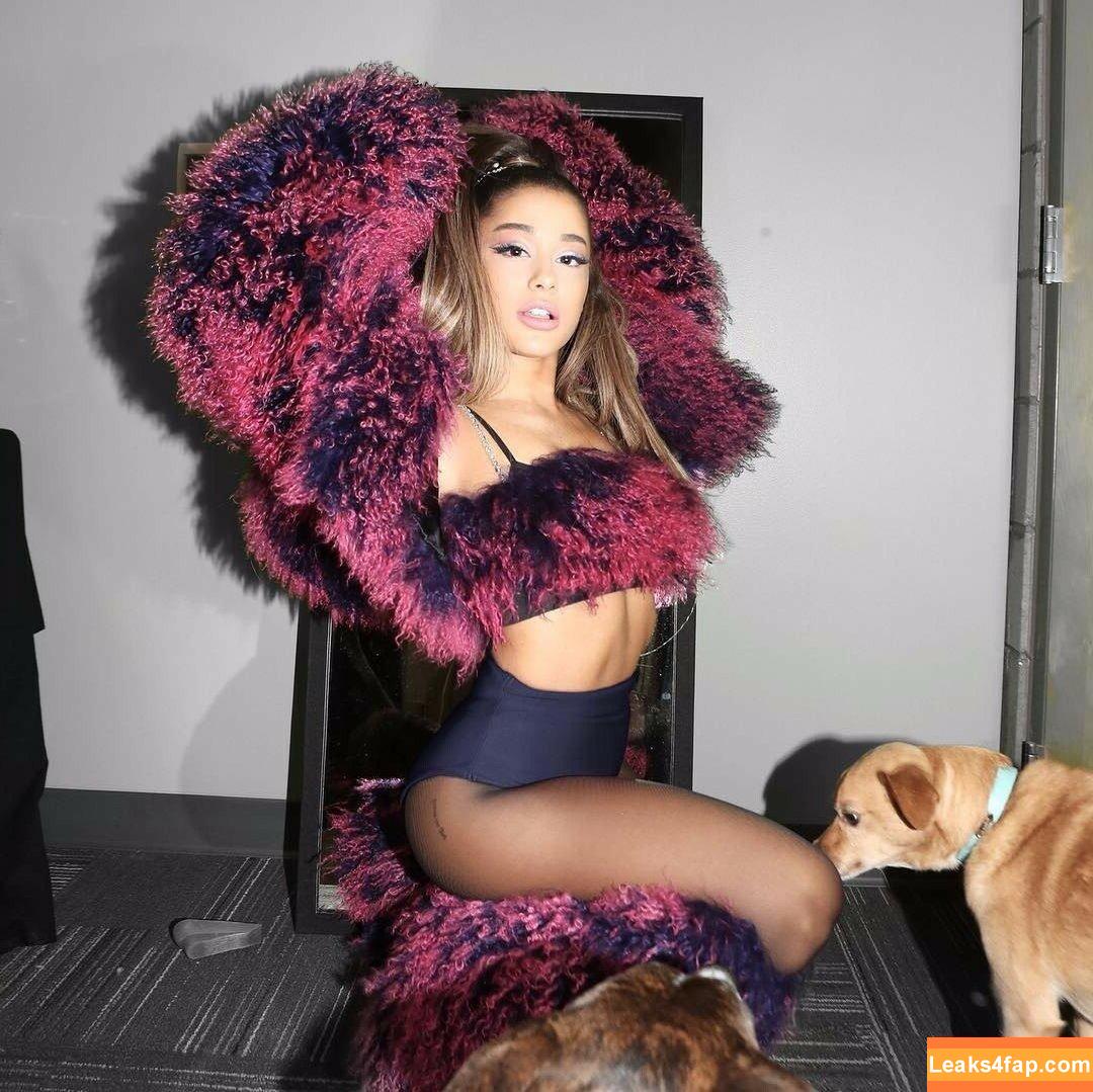 Ariana Grande / arianagrande / arianaxgrande leaked photo photo #0954