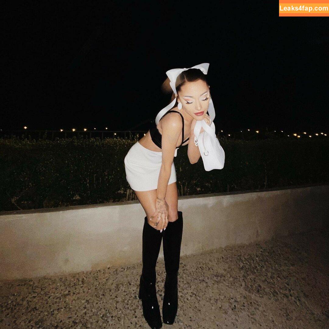 Ariana Grande / arianagrande / arianaxgrande leaked photo photo #0975