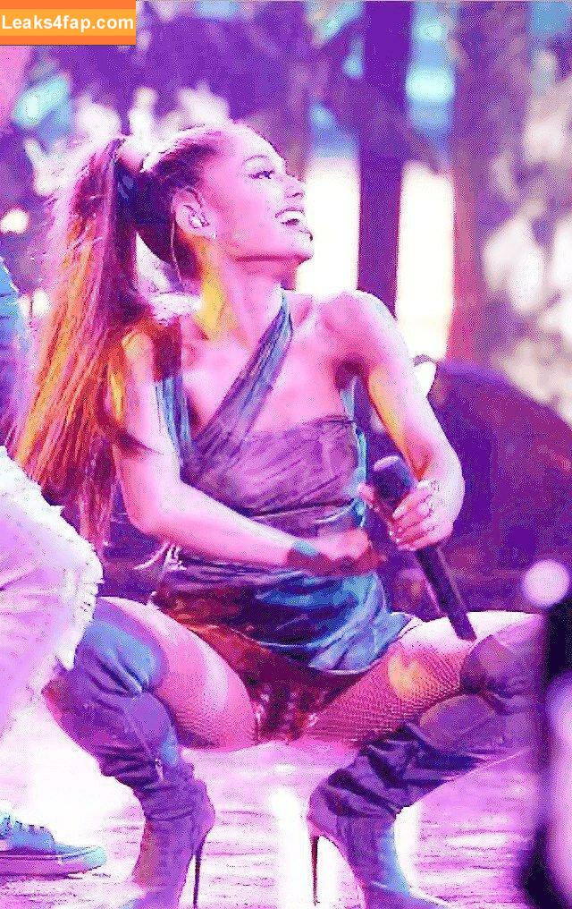 Ariana Grande / arianagrande / arianaxgrande leaked photo photo #0981
