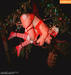 artemisfit photo #0175