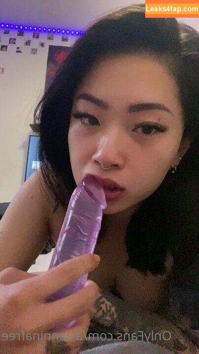 Asianninavip / asiadiann leaked photo photo #0041