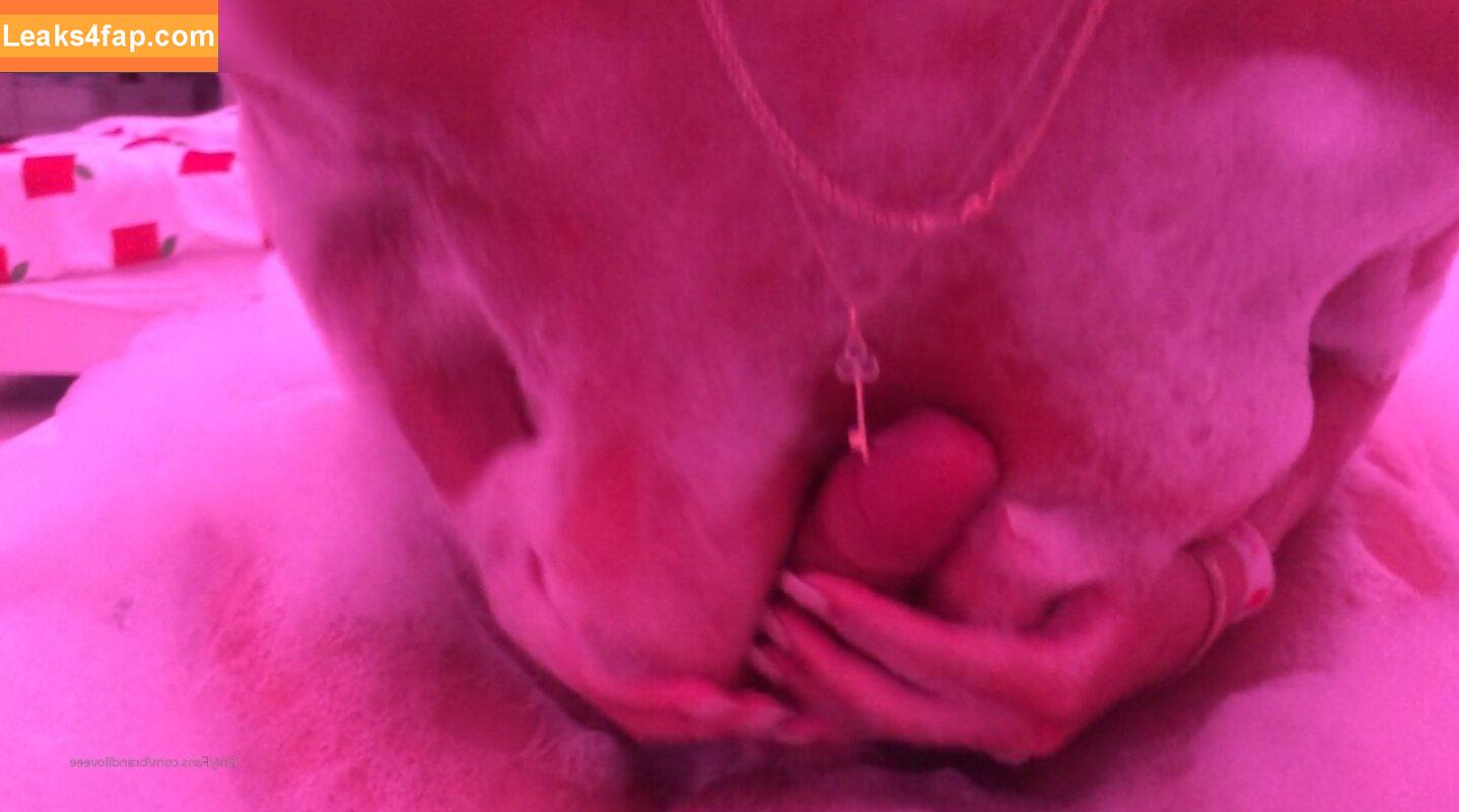 Brandiloveee / brandiloveee3 / givebrandilove leaked photo photo #0035