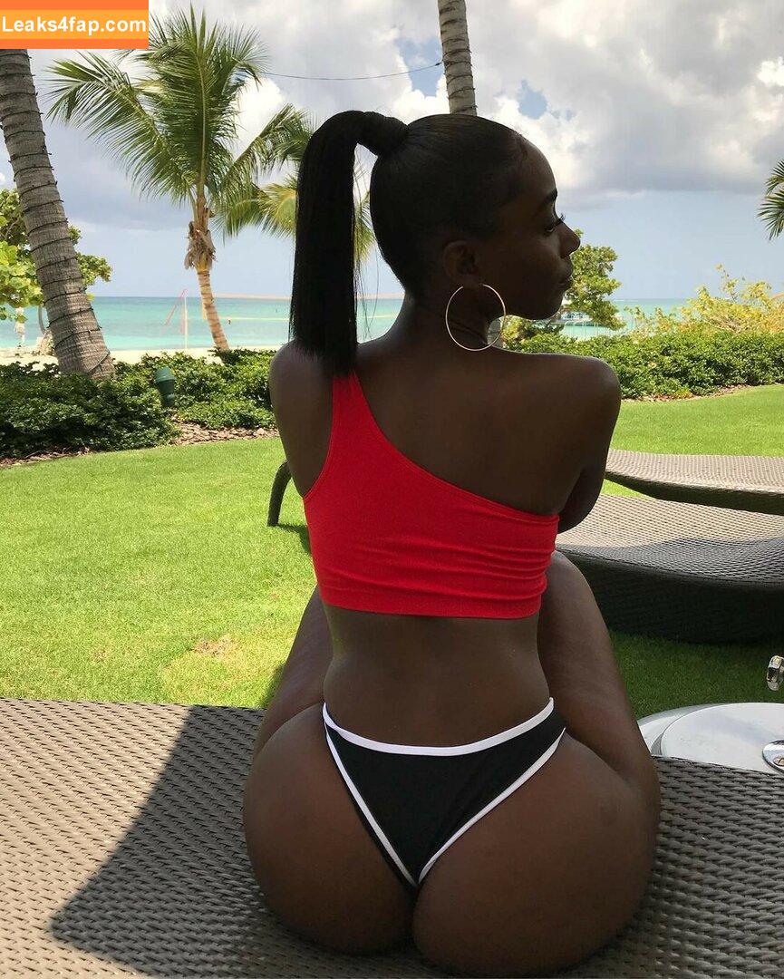 Bria Myles / realbriamyles leaked photo photo #0023