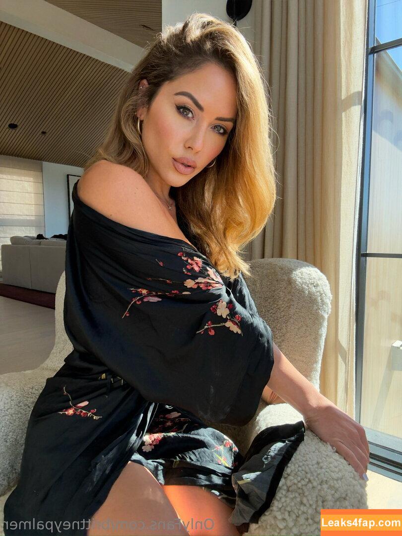 brittneypalmer /  слитое фото фото #0020