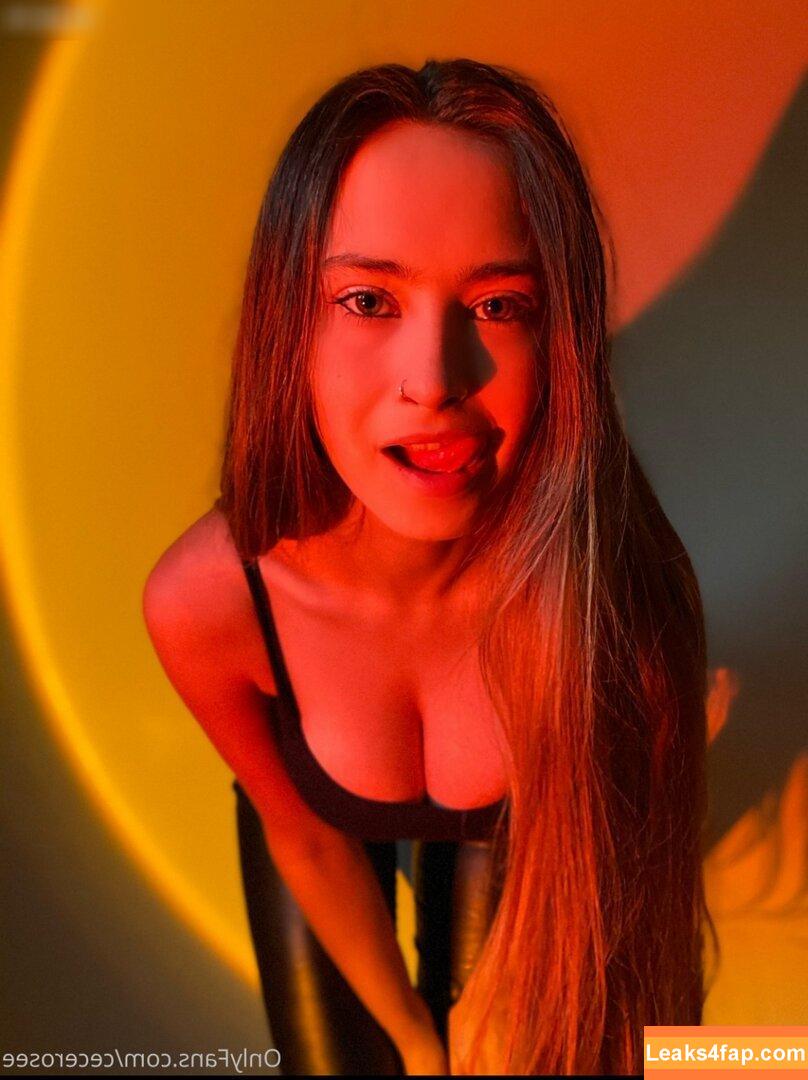Cecilia Rose / Cece Rose / cece___rose / cece_rosee_ / cecerosee leaked photo photo #1304