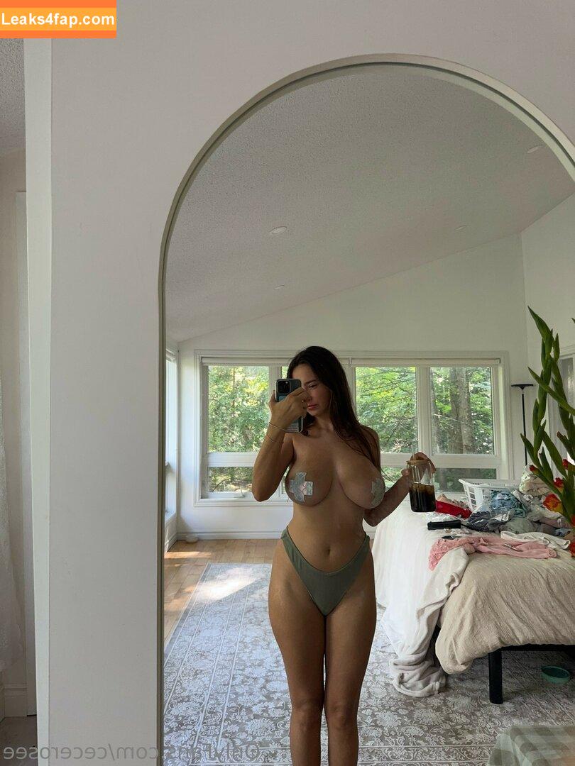 Cecilia Rose / Cece Rose / cece___rose / cece_rosee_ / cecerosee leaked photo photo #1404