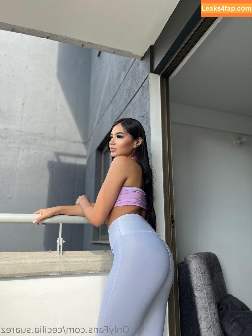 cecilia.suarez / realcecilia.suarez leaked photo photo #0006