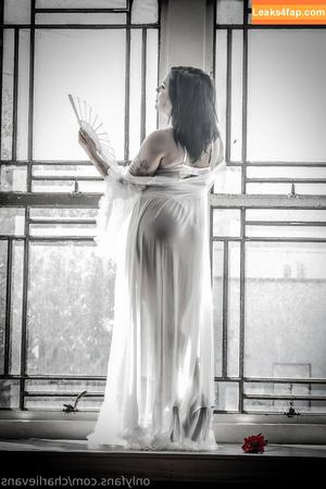 Charli Evans photo #0129