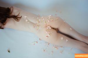 Dabrowskadaria photo #0011