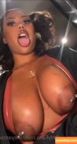 Dejarennae photo #0007