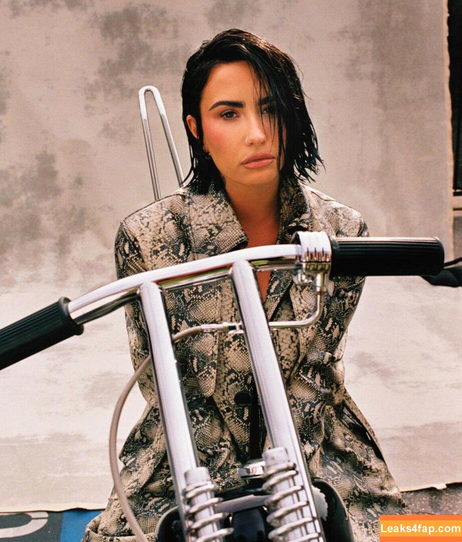 Demi Lovato / ddlovato leaked photo photo #0038