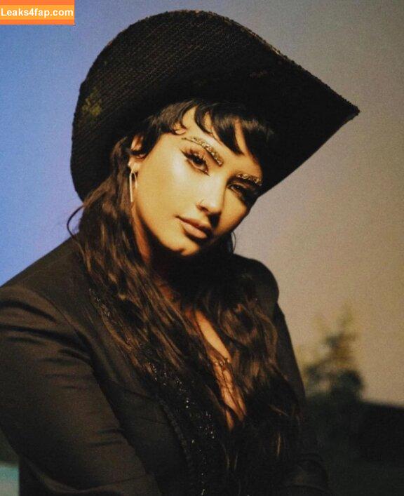 Demi Lovato / ddlovato leaked photo photo #0050