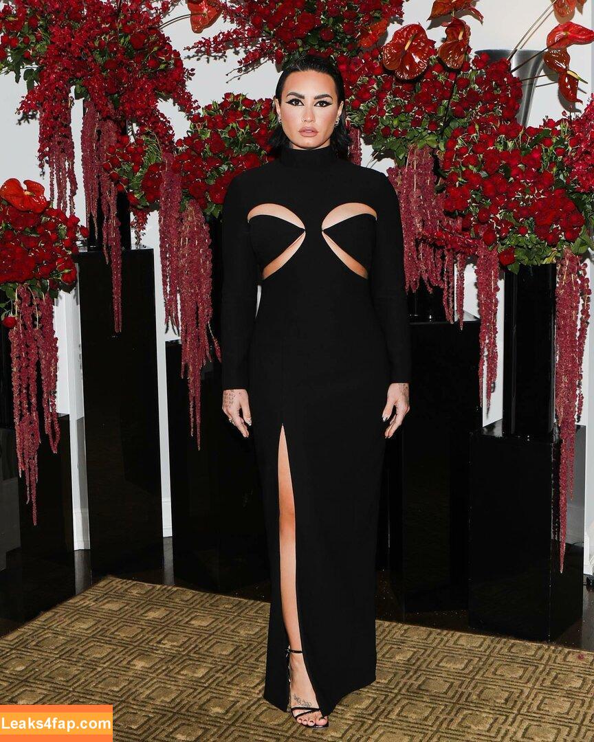 Demi Lovato / ddlovato leaked photo photo #0194