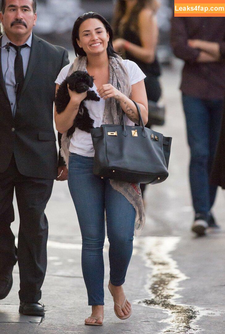Demi Lovato / ddlovato leaked photo photo #0245