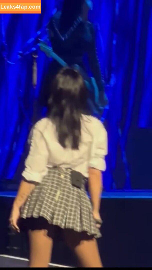 Demi Lovato / ddlovato leaked photo photo #0319