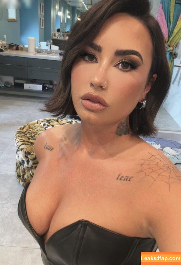 Demi Lovato / ddlovato leaked photo photo #0589