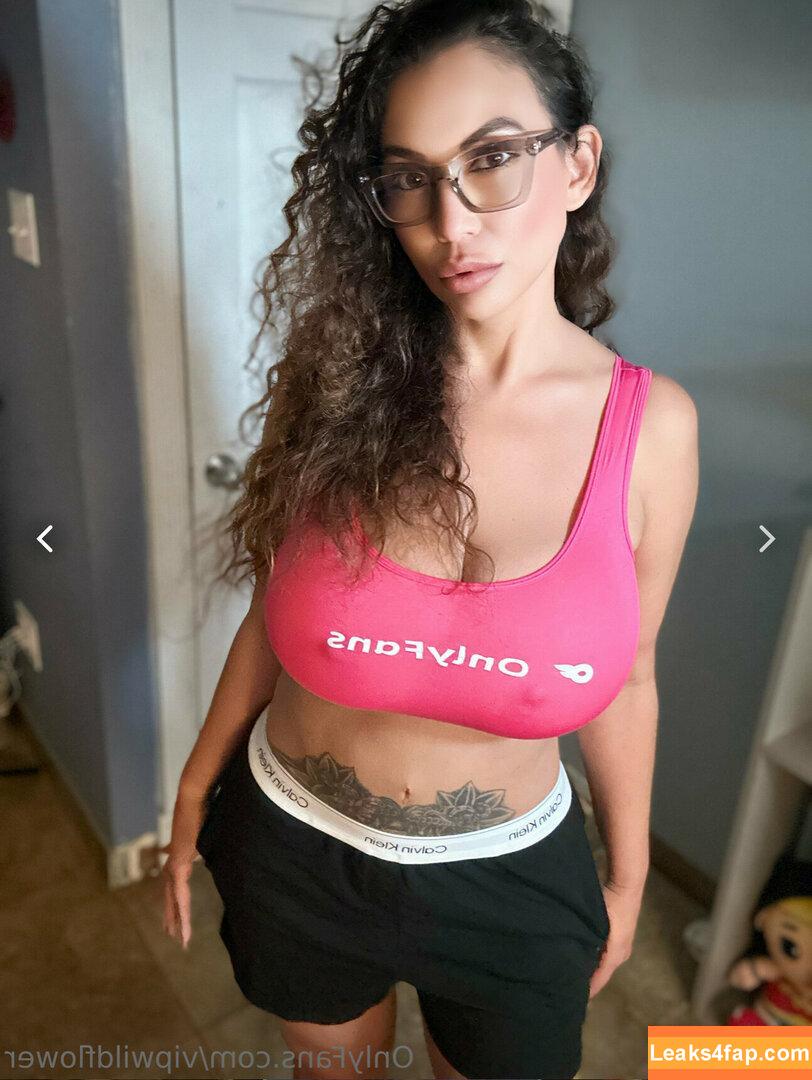 Ellie Reyna Rojas / elliereynarojas1 / texasplayboii leaked photo photo #0064