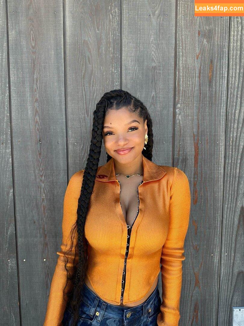 Halle Bailey / chloebaileyyy / hallebailey leaked photo photo #0019