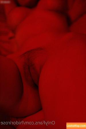 Hidori Rose photo #0709