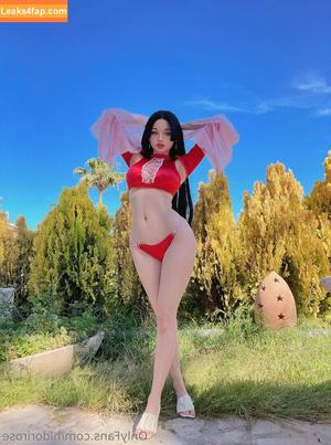 Hidori Rose photo #1355