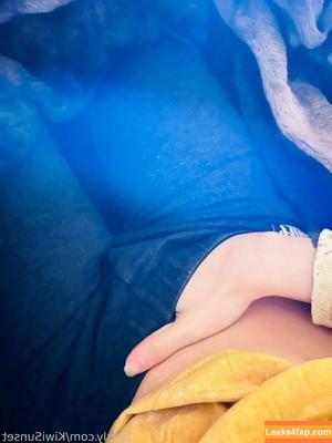 Kiwi Sunset photo #0239