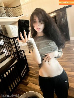 Kiwi Sunset photo #0346