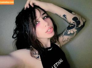 Kiwi Sunset photo #0785