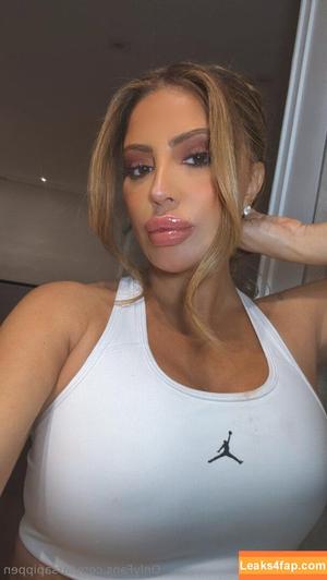 larsapippen photo #0003