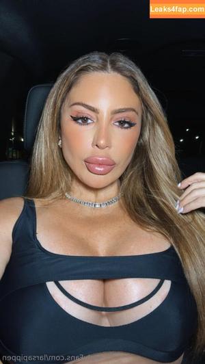 larsapippen photo #0022
