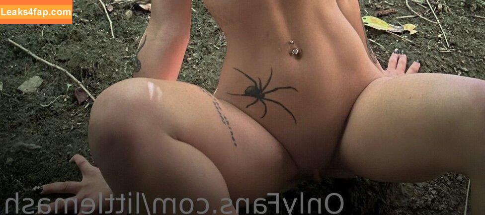 littlemash / mash.beffa leaked photo photo #0071