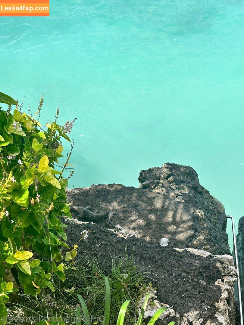 liztravels /  leaked photo photo #0065