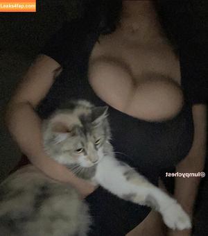 lumpychest photo #0013