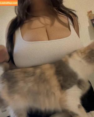 lumpychest photo #0017