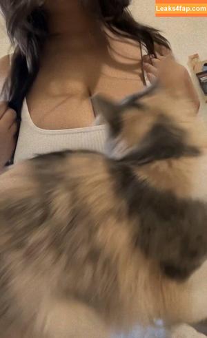lumpychest photo #0018