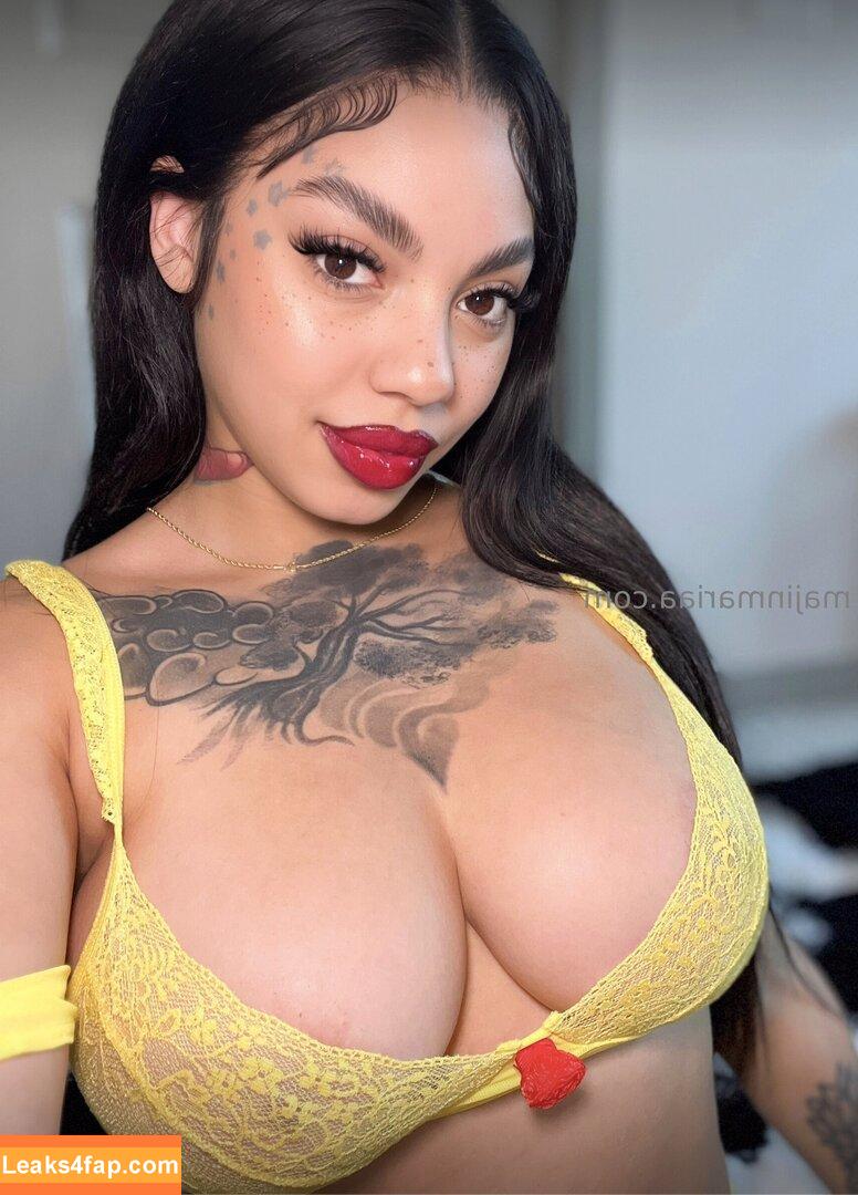 mariaaskyy / ladymariaaskyy leaked photo photo #0013