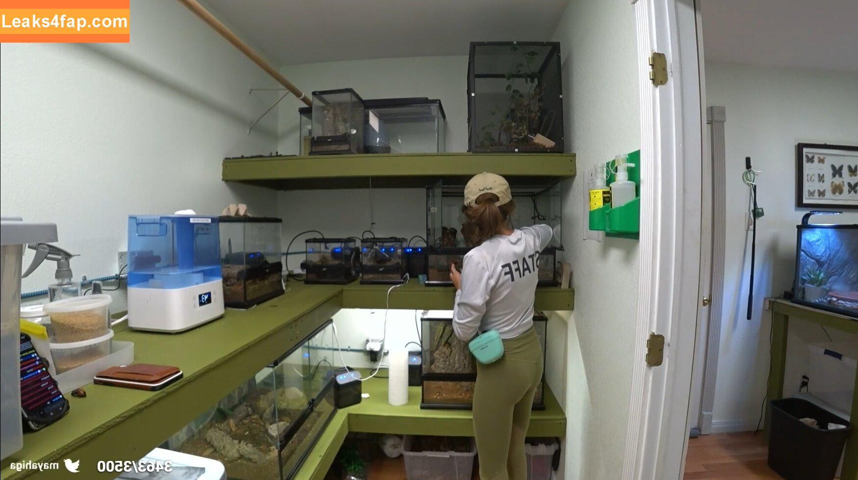 Mayahiga / maya / maya_higa слитое фото фото #0001