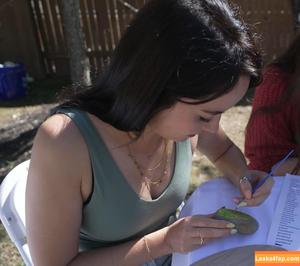 Mayahiga photo #0404