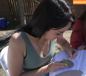 Mayahiga photo #0439