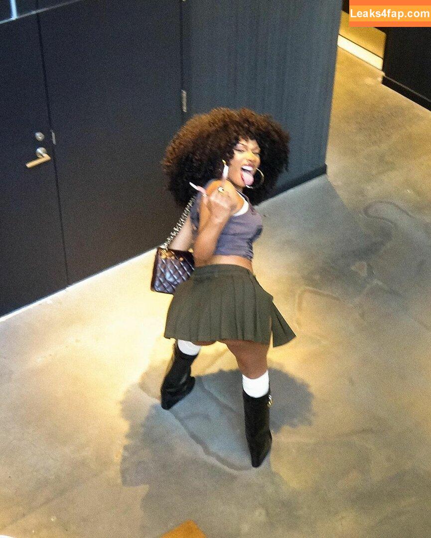 Megan thee stallion / megan_renee316 / theestallion leaked photo photo #0031