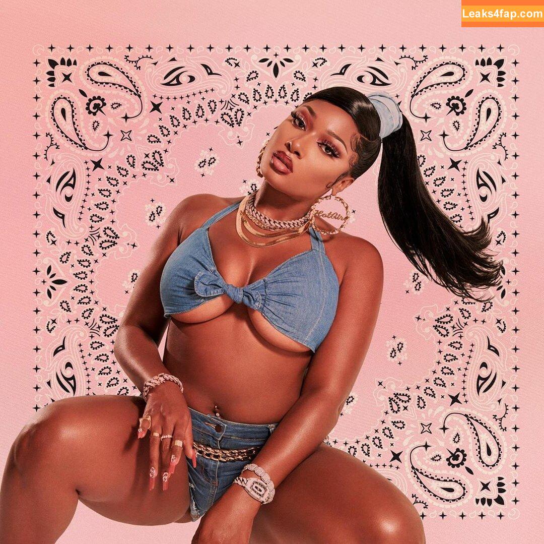 Megan thee stallion / megan_renee316 / theestallion leaked photo photo #0047